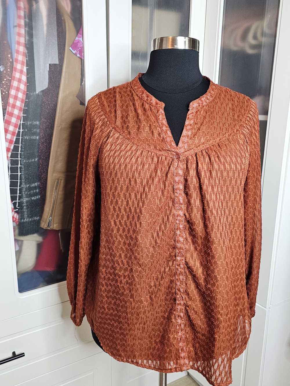 bobeau Rust Textured Button-Front Blouse